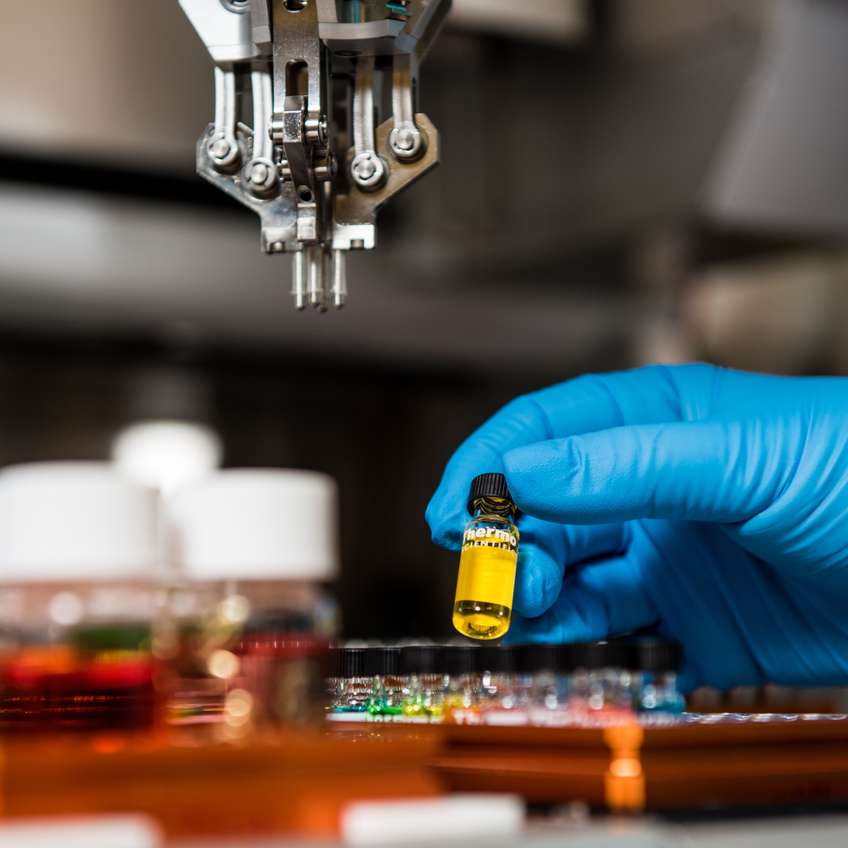 Lab Lab